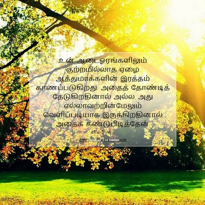 Picture 07 - எரேமியா 2:34 TAMIRV - உன் - Bible Verse Picture