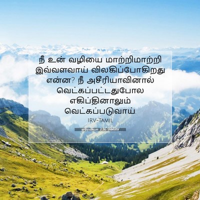 Picture 07 - எரேமியா 2:36 TAMIRV - நீ உன் வழியை - Bible Verse Picture