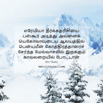 Picture 07 - எரேமியா 20:2 TAMIRV - எரேமியா - Bible Verse Picture