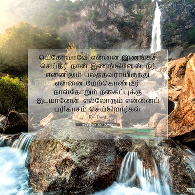 Picture 07 - எரேமியா 20:7 TAMIRV - யெகோவாவே, என்னை - Bible Verse Picture