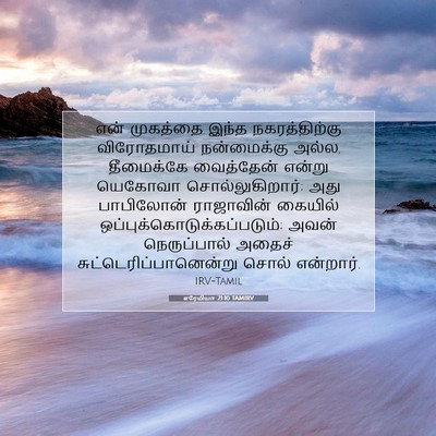 Picture 07 - எரேமியா 21:10 TAMIRV - என் முகத்தை இந்த - Bible Verse Picture