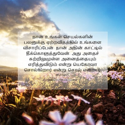 Picture 07 - எரேமியா 21:14 TAMIRV - நான் உங்கள் - Bible Verse Picture
