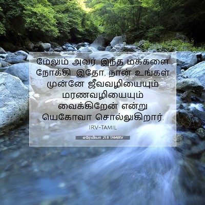 Picture 07 - எரேமியா 21:8 TAMIRV - மேலும் அவர், இந்த - Bible Verse Picture