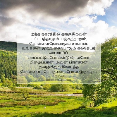 Picture 07 - எரேமியா 21:9 TAMIRV - இந்த நகரத்தில் - Bible Verse Picture