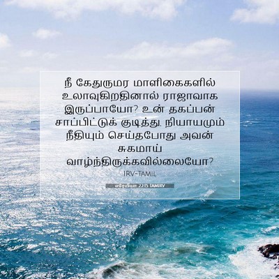 Picture 07 - எரேமியா 22:15 TAMIRV - நீ கேதுருமர - Bible Verse Picture