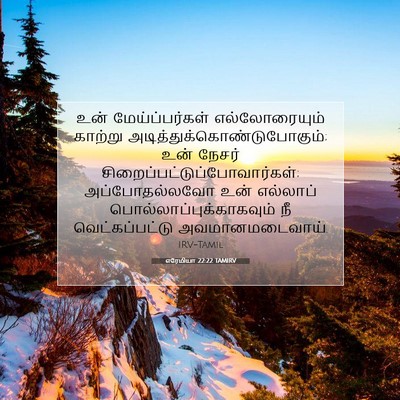 Picture 07 - எரேமியா 22:22 TAMIRV - உன் மேய்ப்பர்கள் - Bible Verse Picture