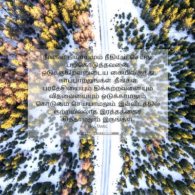 Picture 07 - எரேமியா 22:3 TAMIRV - நீங்கள் நியாயமும் - Bible Verse Picture