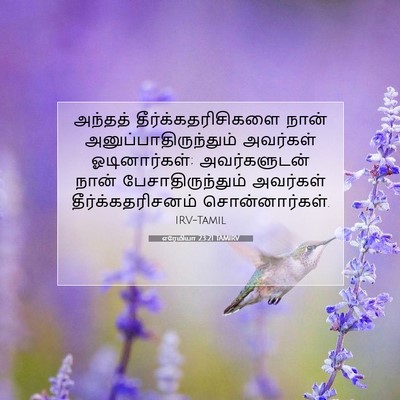 Picture 07 - எரேமியா 23:21 TAMIRV - அந்தத் - Bible Verse Picture