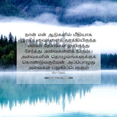 Picture 07 - எரேமியா 23:3 TAMIRV - நான் என் ஆடுகளில் - Bible Verse Picture