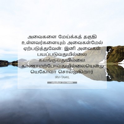Picture 07 - எரேமியா 23:4 TAMIRV - அவைகளை மேய்க்கத் - Bible Verse Picture