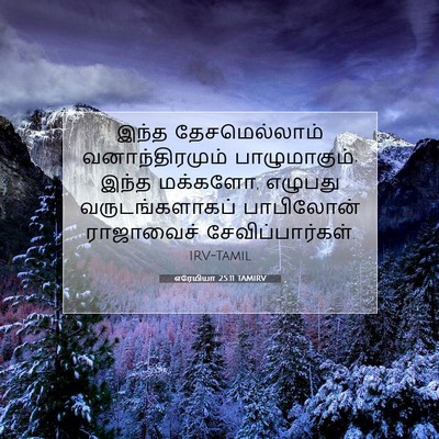 Picture 07 - எரேமியா 25:11 TAMIRV - இந்த தேசமெல்லாம் - Bible Verse Picture