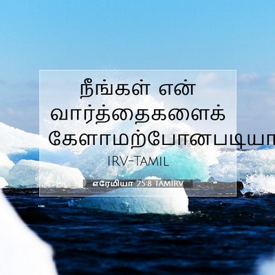Picture 07 - எரேமியா 25:8 TAMIRV - நீங்கள் என் - Bible Verse Picture