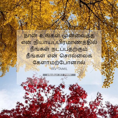 Picture 07 - எரேமியா 26:5 TAMIRV - நான் உங்கள் - Bible Verse Picture