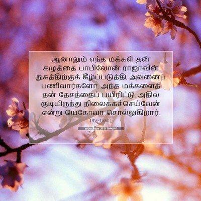Picture 07 - எரேமியா 27:11 TAMIRV - ஆனாலும் எந்த - Bible Verse Picture