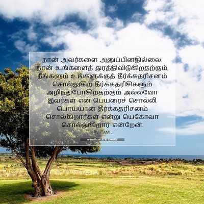 Picture 07 - எரேமியா 27:15 TAMIRV - நான் அவர்களை - Bible Verse Picture