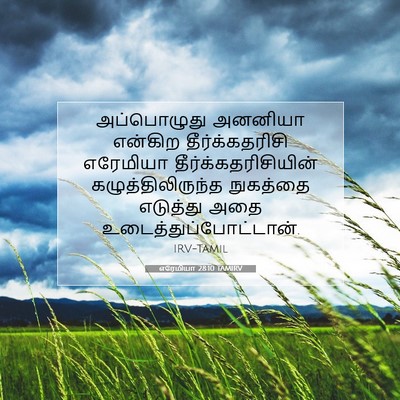 Picture 07 - எரேமியா 28:10 TAMIRV - அப்பொழுது அனனியா - Bible Verse Picture