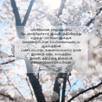Picture 07 - எரேமியா 28:3 TAMIRV - பாபிலோன் - Bible Verse Picture