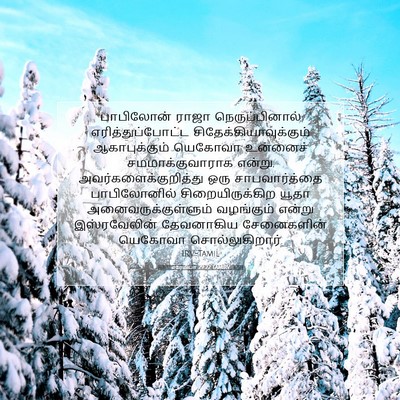 Picture 07 - எரேமியா 29:22 TAMIRV - பாபிலோன் ராஜா - Bible Verse Picture