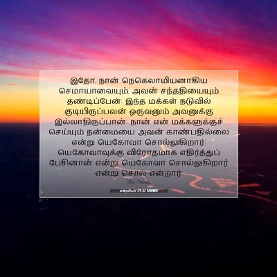 Picture 07 - எரேமியா 29:32 TAMIRV - இதோ, நான் - Bible Verse Picture