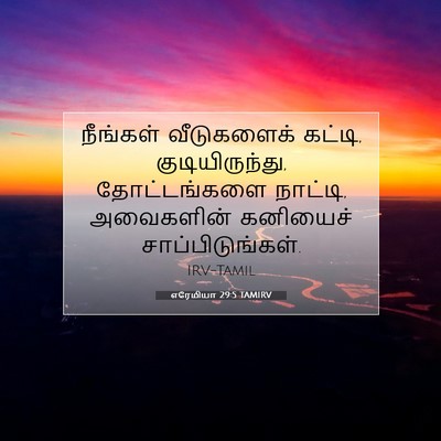 Picture 07 - எரேமியா 29:5 TAMIRV - நீங்கள் வீடுகளைக் - Bible Verse Picture