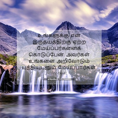 Picture 07 - எரேமியா 3:15 TAMIRV - உங்களுக்கு என் - Bible Verse Picture