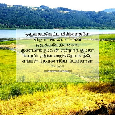 Picture 07 - எரேமியா 3:22 TAMIRV - ஒழுக்கம்கெட்ட - Bible Verse Picture