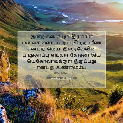 Picture 07 - எரேமியா 3:23 TAMIRV - குன்றுகளையும், - Bible Verse Picture