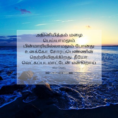 Picture 07 - எரேமியா 3:3 TAMIRV - அதினிமித்தம் மழை - Bible Verse Picture
