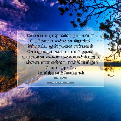 Picture 07 - எரேமியா 3:6 TAMIRV - யோசியா ராஜாவின் - Bible Verse Picture