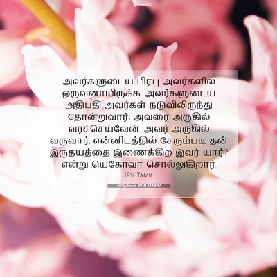 Picture 07 - எரேமியா 30:21 TAMIRV - அவர்களுடைய பிரபு - Bible Verse Picture