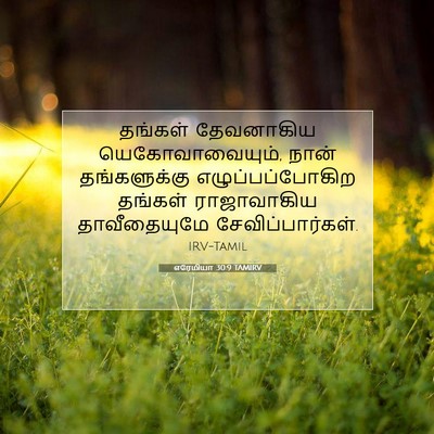 Picture 07 - எரேமியா 30:9 TAMIRV - தங்கள் தேவனாகிய - Bible Verse Picture