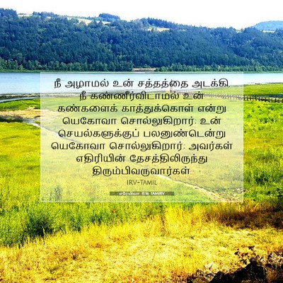 Picture 07 - எரேமியா 31:16 TAMIRV - நீ அழாமல் உன் - Bible Verse Picture