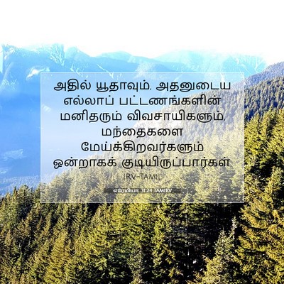 Picture 07 - எரேமியா 31:24 TAMIRV - அதில் யூதாவும், - Bible Verse Picture