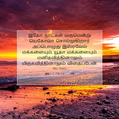 Picture 07 - எரேமியா 31:27 TAMIRV - இதோ, நாட்கள் - Bible Verse Picture