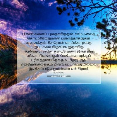 Picture 07 - எரேமியா 31:40 TAMIRV - பிணங்களைப் - Bible Verse Picture
