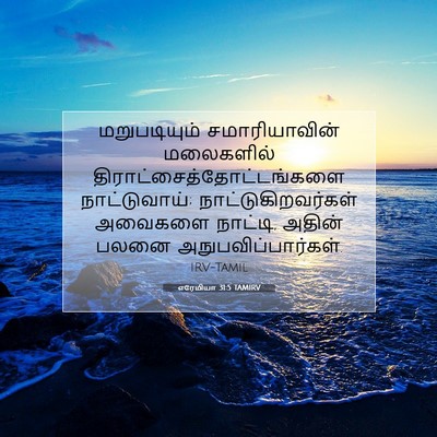 Picture 07 - எரேமியா 31:5 TAMIRV - மறுபடியும் - Bible Verse Picture