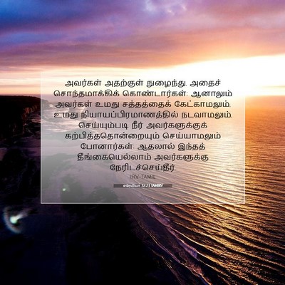 Picture 07 - எரேமியா 32:23 TAMIRV - அவர்கள் அதற்குள் - Bible Verse Picture