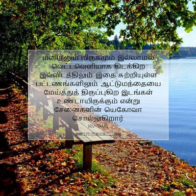 Picture 07 - எரேமியா 33:12 TAMIRV - மனிதனும் - Bible Verse Picture