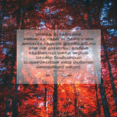 Picture 07 - எரேமியா 33:22 TAMIRV - வானத்து - Bible Verse Picture