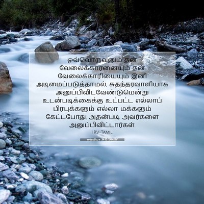 Picture 07 - எரேமியா 34:10 TAMIRV - ஒவ்வொருவனும் தன் - Bible Verse Picture