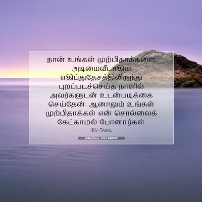 Picture 07 - எரேமியா 34:14 TAMIRV - நான் உங்கள் - Bible Verse Picture