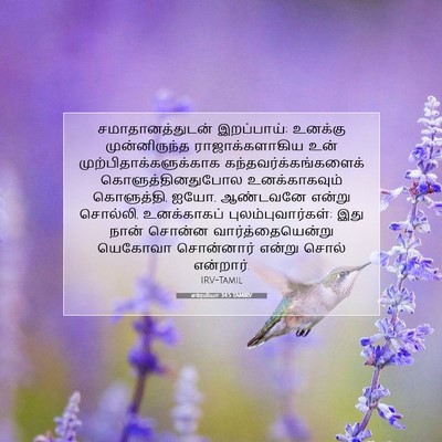Picture 07 - எரேமியா 34:5 TAMIRV - சமாதானத்துடன் - Bible Verse Picture