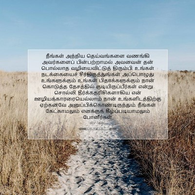 Picture 07 - எரேமியா 35:15 TAMIRV - நீங்கள் அந்நிய - Bible Verse Picture