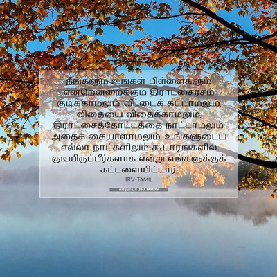 Picture 07 - எரேமியா 35:7 TAMIRV - நீங்களும் உங்கள் - Bible Verse Picture