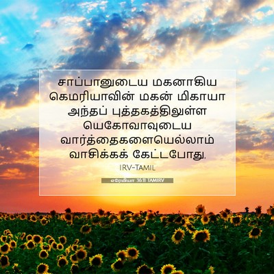 Picture 07 - எரேமியா 36:11 TAMIRV - சாப்பானுடைய - Bible Verse Picture