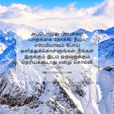 Picture 07 - எரேமியா 36:19 TAMIRV - அப்பொழுது - Bible Verse Picture