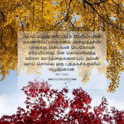 Picture 07 - எரேமியா 36:4 TAMIRV - அப்பொழுது எரேமியா - Bible Verse Picture