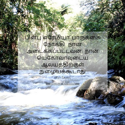Picture 07 - எரேமியா 36:5 TAMIRV - பின்பு எரேமியா - Bible Verse Picture