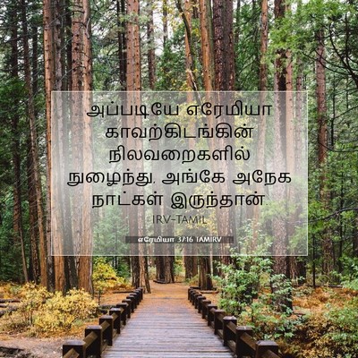 Picture 07 - எரேமியா 37:16 TAMIRV - அப்படியே எரேமியா - Bible Verse Picture