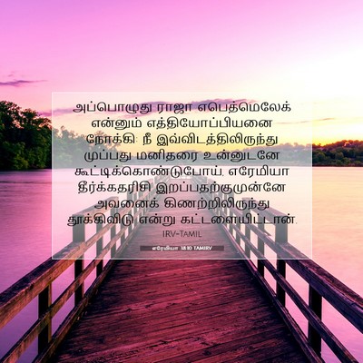 Picture 07 - எரேமியா 38:10 TAMIRV - அப்பொழுது ராஜா - Bible Verse Picture